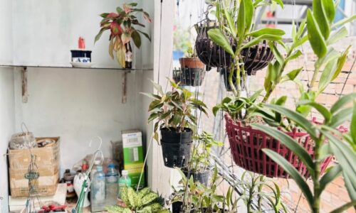 BÁN NHÀ TÂN BÌNH SÁT MT 39M2 NGANG 4M 2 TẦNG DÂN TRÍ CAO HOÀNG VĂN THỤ 3.9 TỶ.