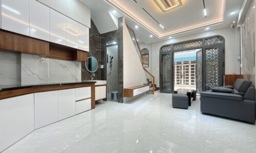 BÁN NHÀ TÂN BÌNH HXH 50M2 3 TẦNG NGANG 4.5M  4 PN ĐẸP LL LẠC LONG QUÂN 5.95 TỶ.